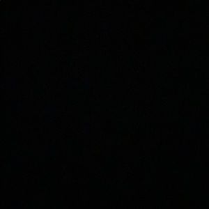 Meet your Posher, Bailey